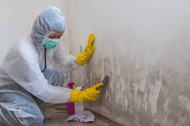 Best Biohazard Mold Removal  in Las Quintas Fronterizas, TX